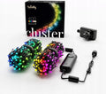 Twinkly Cluster guirnalda inteligente - 400 LED RGB y blanco de alta densidad - Protección IP44 y control por aplicación - Compatible con HomeKit Alexa y Google Home